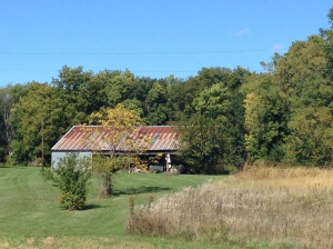 I couldn't begin to count the number of rustic barns I saw the past two months