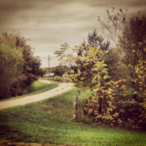 Pathway on the way to Wellsville
